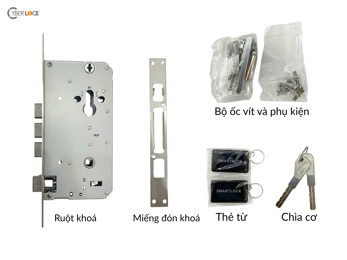Phụ kiện đi kèm khóa vân tay cửa gỗ WTT45